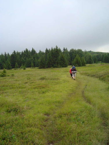 Picture 46 of Forks of Red Creek Hike 070409