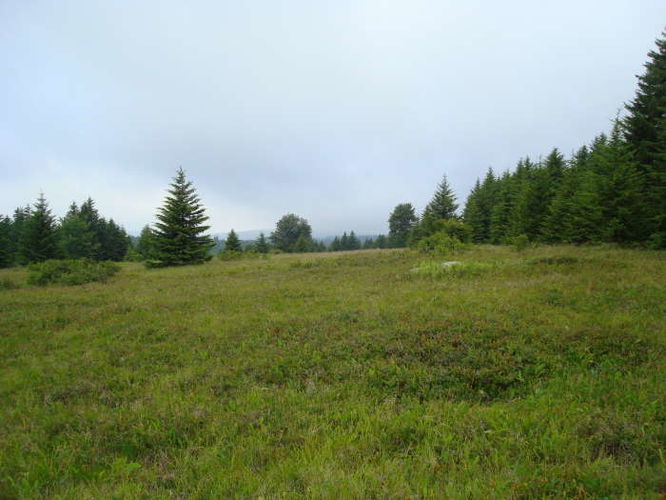Picture 47 of Forks of Red Creek Hike 070409