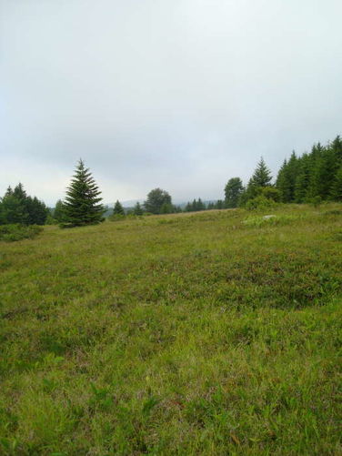 Picture 48 of Forks of Red Creek Hike 070409