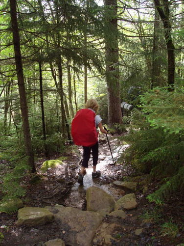 Picture 49 of Forks of Red Creek Hike 070409