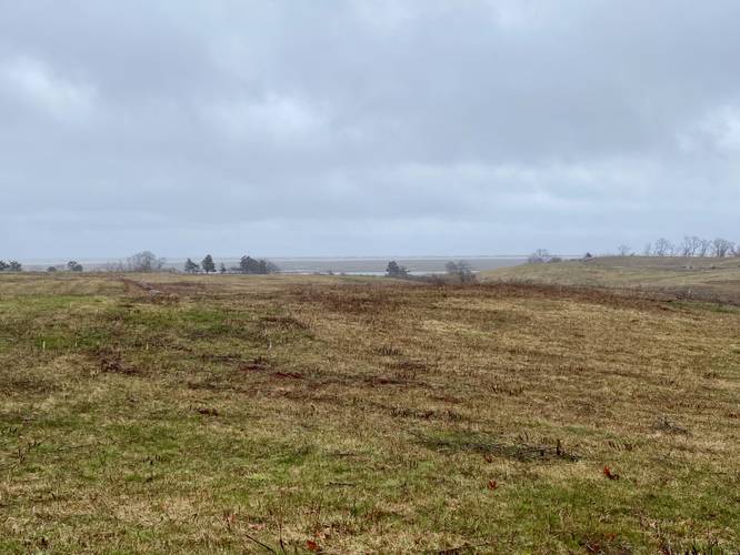 Field view with glimpse of Nauset Bay Marshes