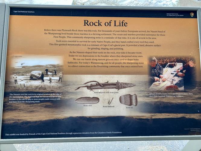 Rock of Life - Indian Rock info