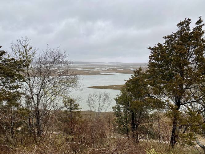 View of Nauset Bay Marshes