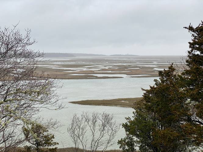 View of Nauset Bay Marshes
