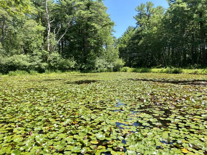 Default image for Fort McClary Pond, a 0.0-mile trail in Kittery, ME (US)