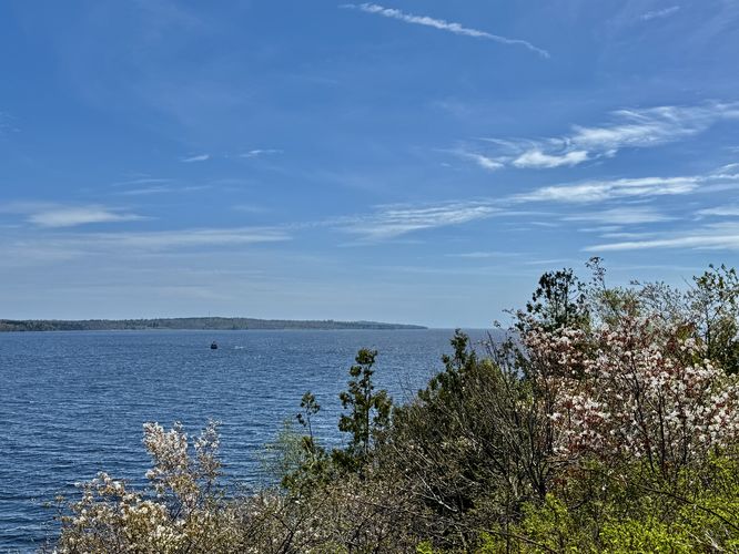 View of the Penobscot River from Fort Point State Park