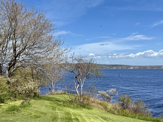 View of the Penobscot River