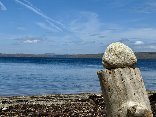 Cadillac Mountain in the distance with driftwood with a rock stitting on top in the foreground