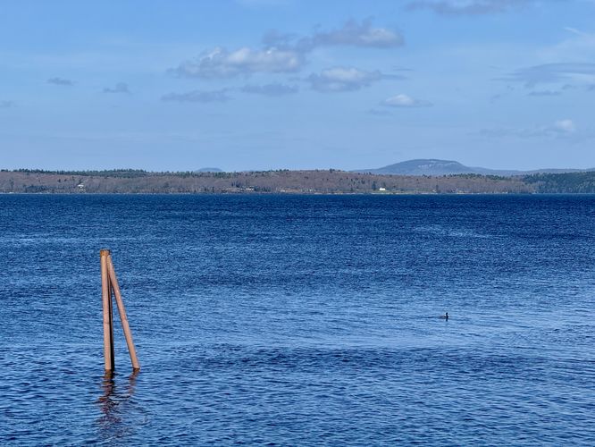 View of Cadillac Mountain and the Penobscot River