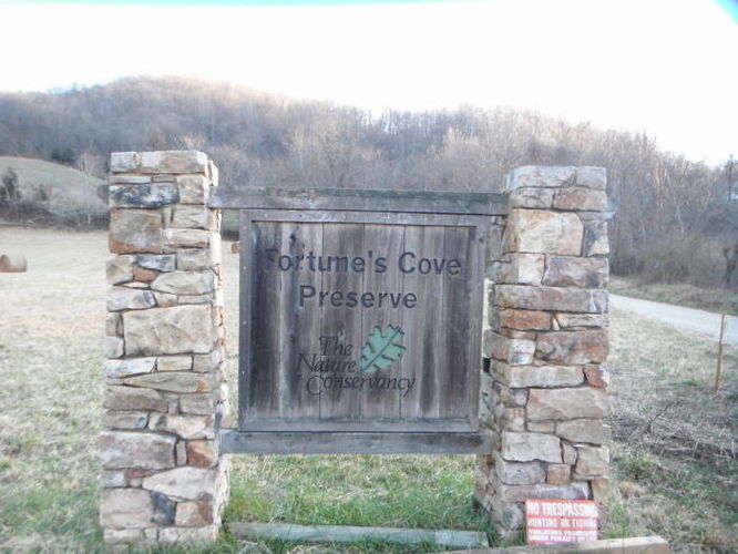 Picture 44 of Fortunes Cove Hike 010212