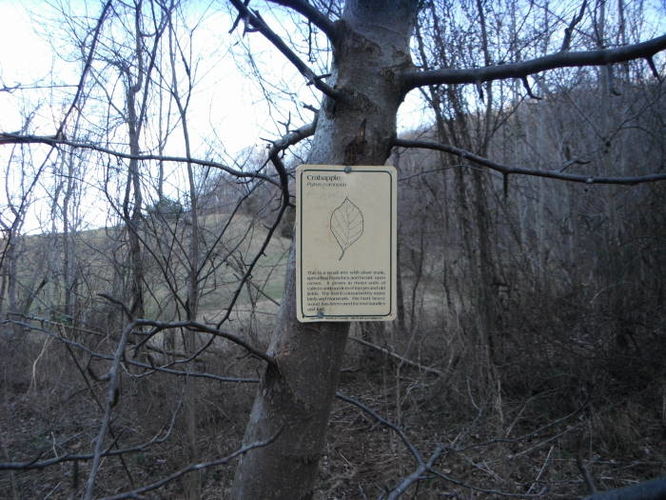 Picture 33 of Fortunes Cove Hike 010212