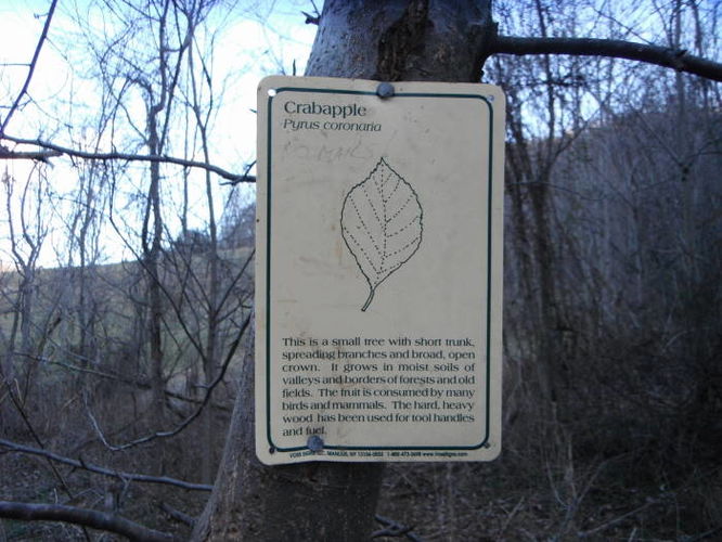 Picture 34 of Fortunes Cove Hike 010212