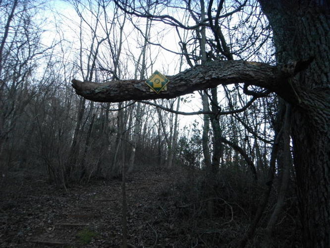 Picture 36 of Fortunes Cove Hike 010212
