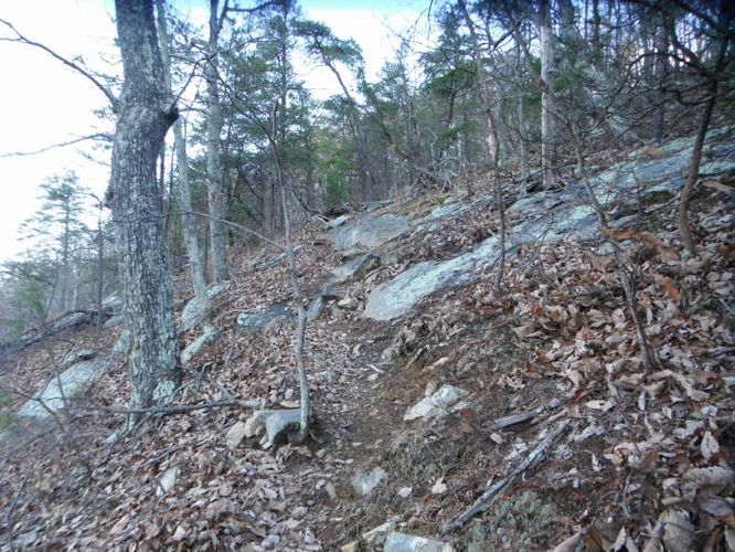 Picture 37 of Fortunes Cove Hike 010212