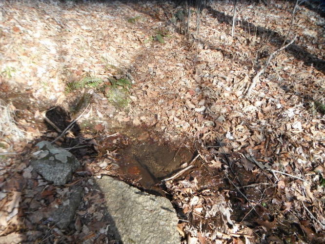 Picture 22 of Fortunes Cove Hike 010212
