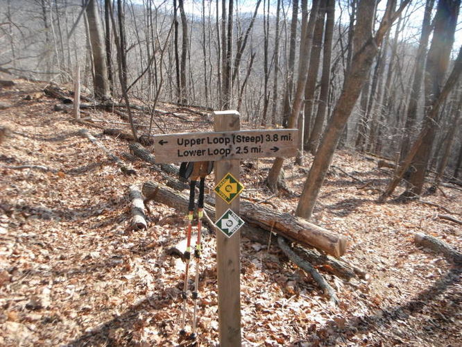 Picture 12 of Fortunes Cove Hike 010212