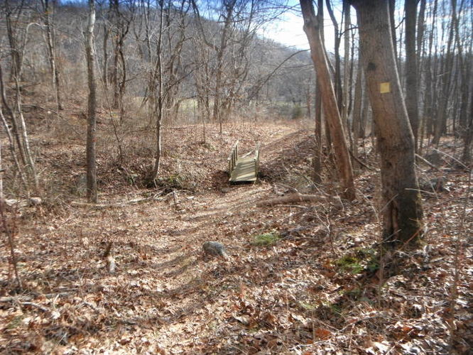 Picture 3 of Fortunes Cove Hike 010212