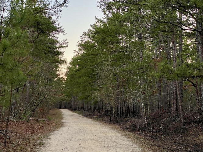 Flat sandy trail out to Forty Acre Rock