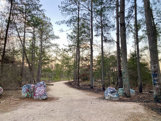 Graffiti-covered rocks, means you're close to the summit of Forty Acre Rock