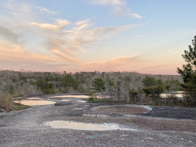 View from the Forty Acre Rock summit