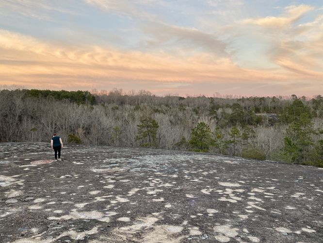 View from the Forty Acre Rock summit