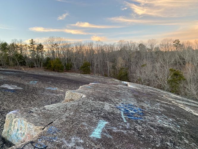 Bedrock on the summit of Forty Acre Rock