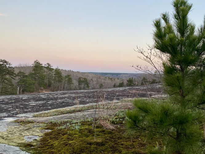 View from atop Forty Acre Rock