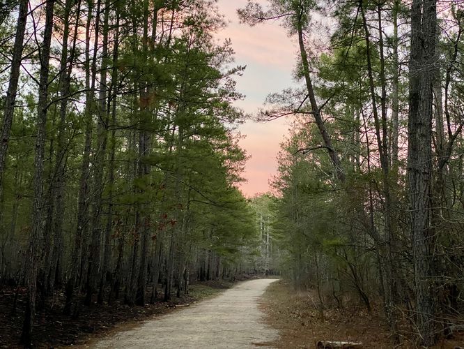 Hiking out from Forty Acre Rock with sunset colors
