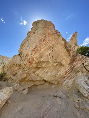 Neat rock with natural features, maybe bones?
