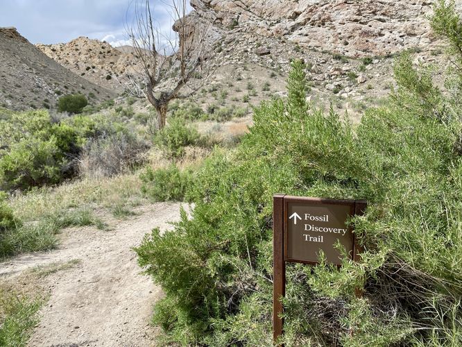 Fossil Discover Trail trailhead at the visitors center
