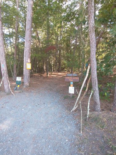 Trailhead Entrance for the Fossil and Tumbling Waters Trails