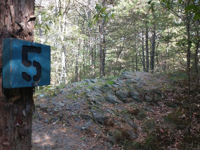 Fossil Trail Loop - Fossil Trail Loop at PEEC album