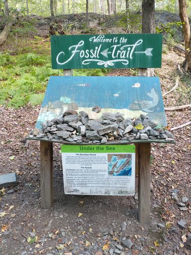 Fossil Trail fossil station