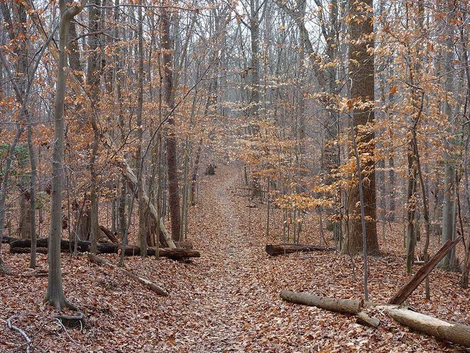 Picture 4 of Fountanhead Regional Park Hike 121215