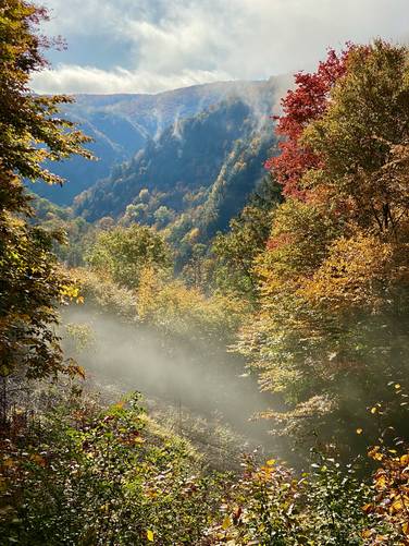 Four-Mile Vista foliage Oct 14 2021