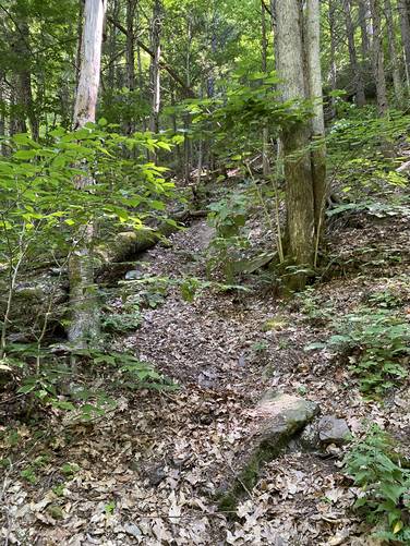 Trail leads steeply uphill from Log Jam Falls