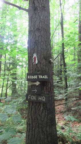 Plenty of signs to keep you on the trail