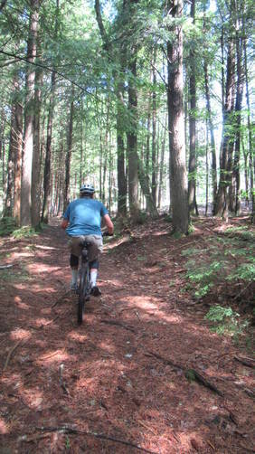 Mountain biking allowed on some trails
