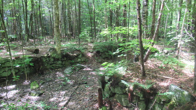 Old foundation ruins