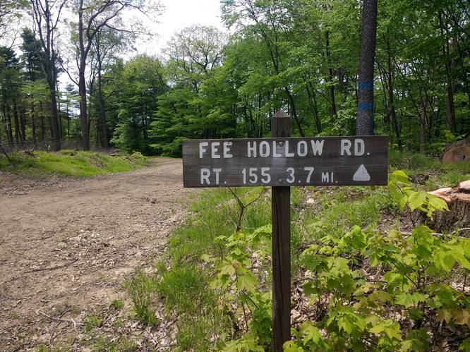 Fee Hollow Sign near Summit