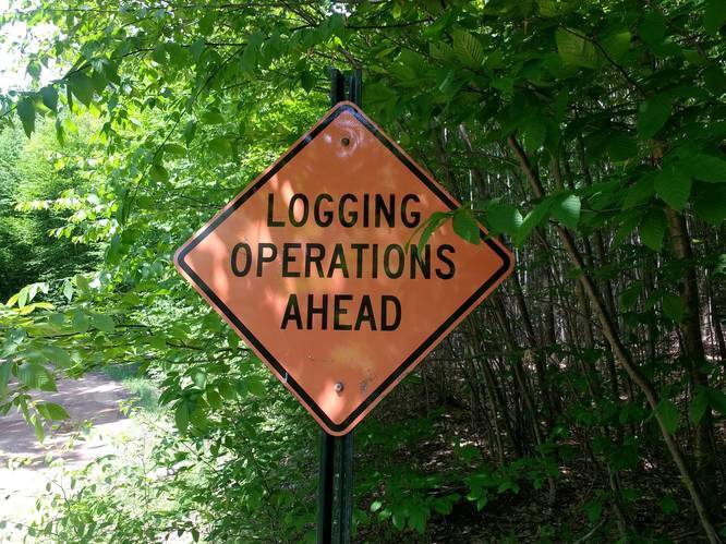 Logging Operations Ahead