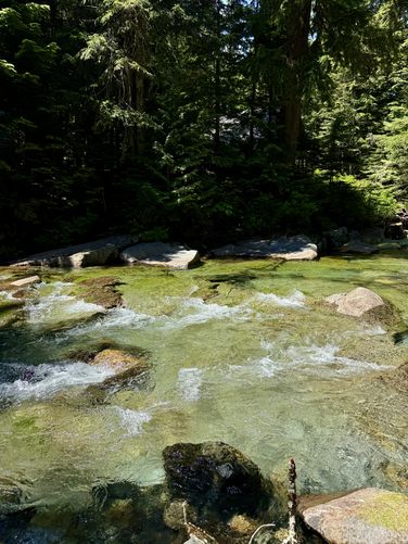 Picture 3 of Franklin Falls Trail