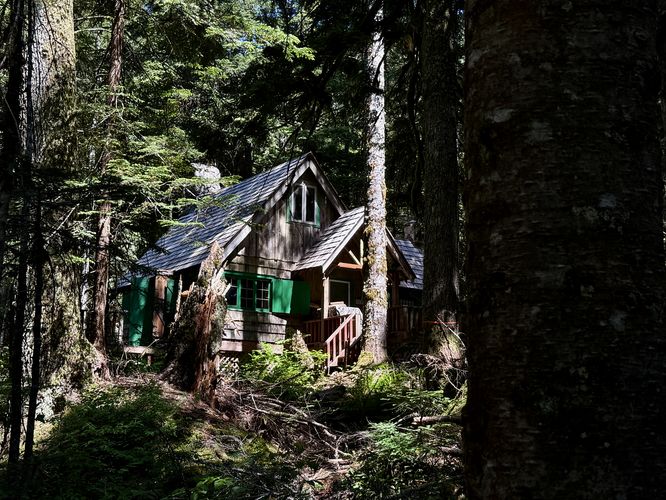 Cabin in the woods