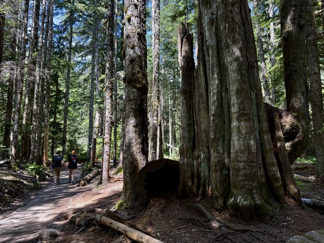 Hikers stroll the trail out to Franklin Falls