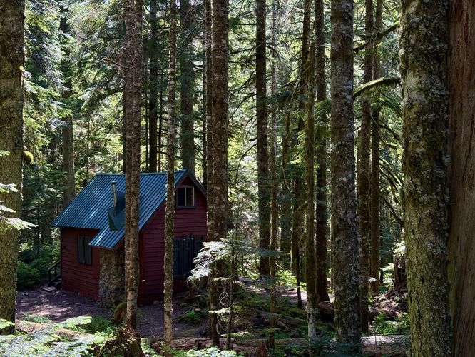 Another cabin in the woods