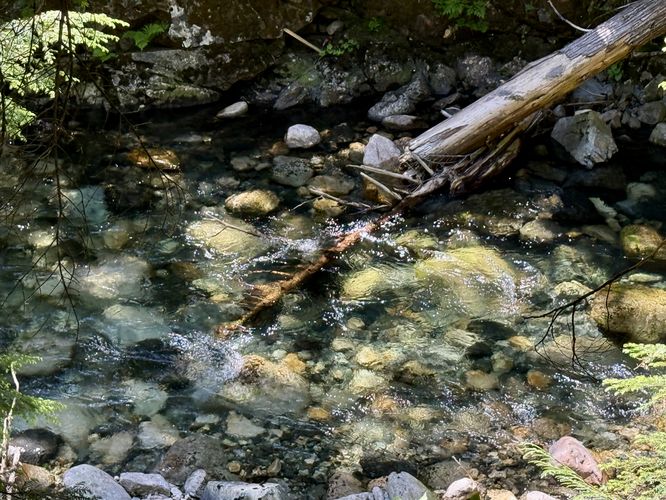View of crystal-clear water of the South Fork Snoqualmie River