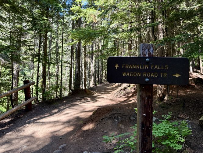 Keep straight at the Wagon Road Trail junction