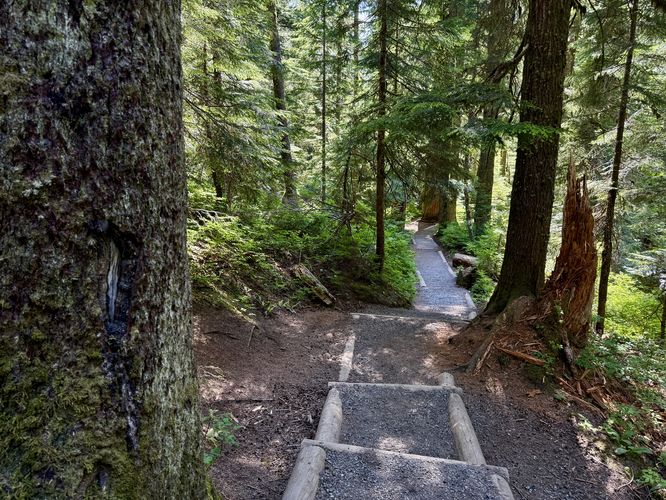 Trail steps of the Franklin Falls Trail