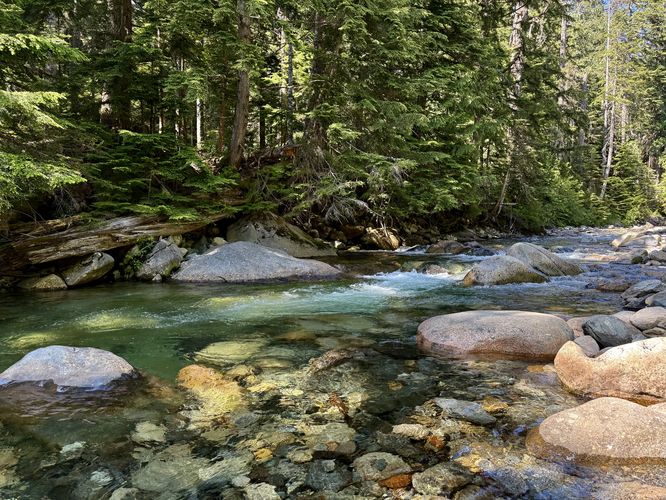 Swimming hole