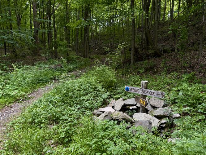 Picture 7 of Franny Reese Overlooks and Ruins Hike